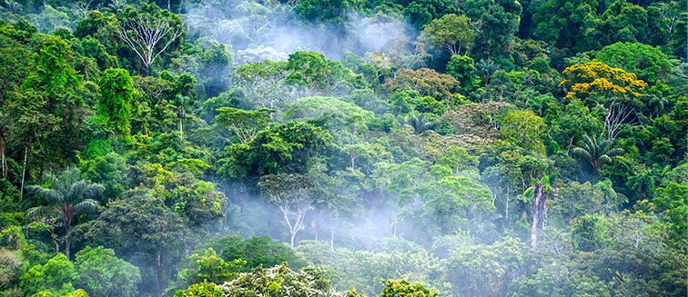 Sehenswertes in Ecuador Amazon