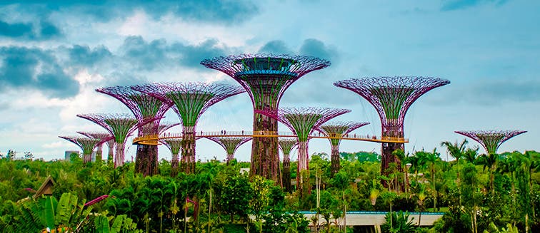 Sehenswertes in Singapur Gardens by the Bay
