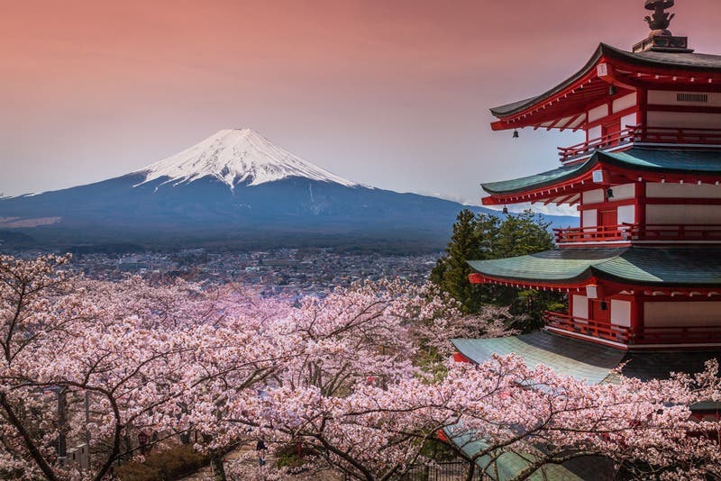 Olympische Spiele 2020 in Tokio: Japan entdecken ...