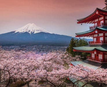 Olympische Spiele 2020 in Tokio: Japan entdecken