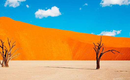 Die Beste Reisezeit für Namibia